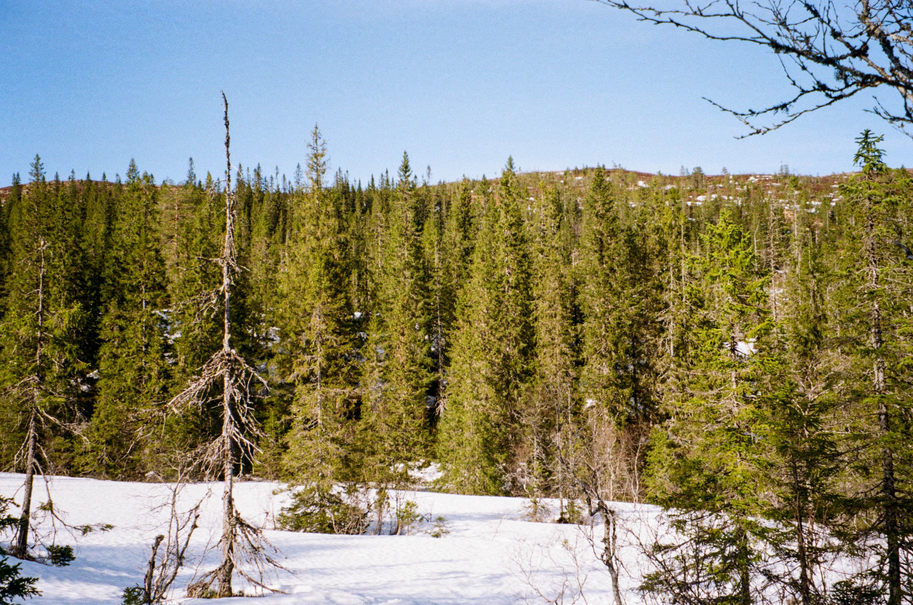 Norway - Image 2