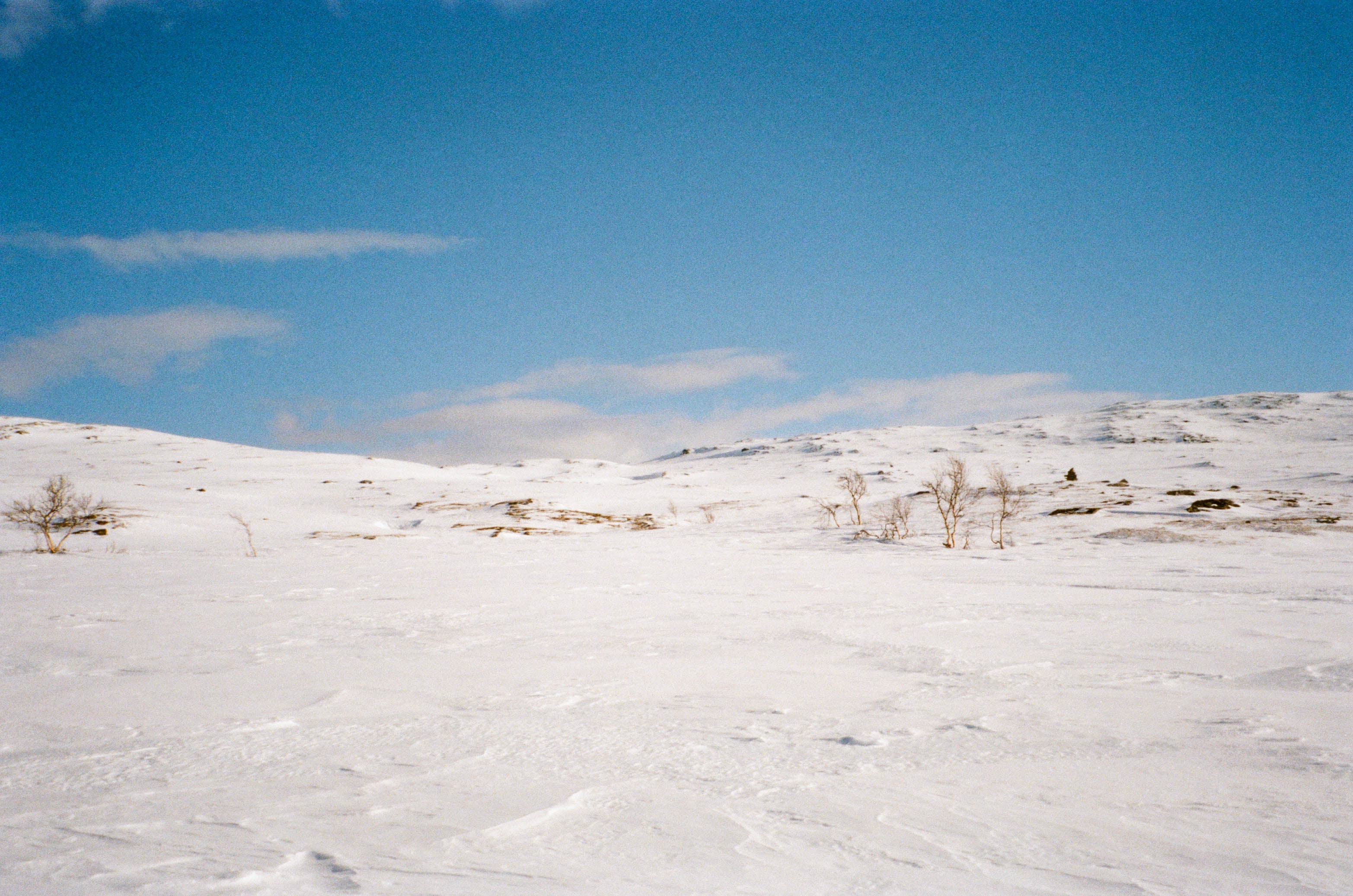 Norway - Image 4