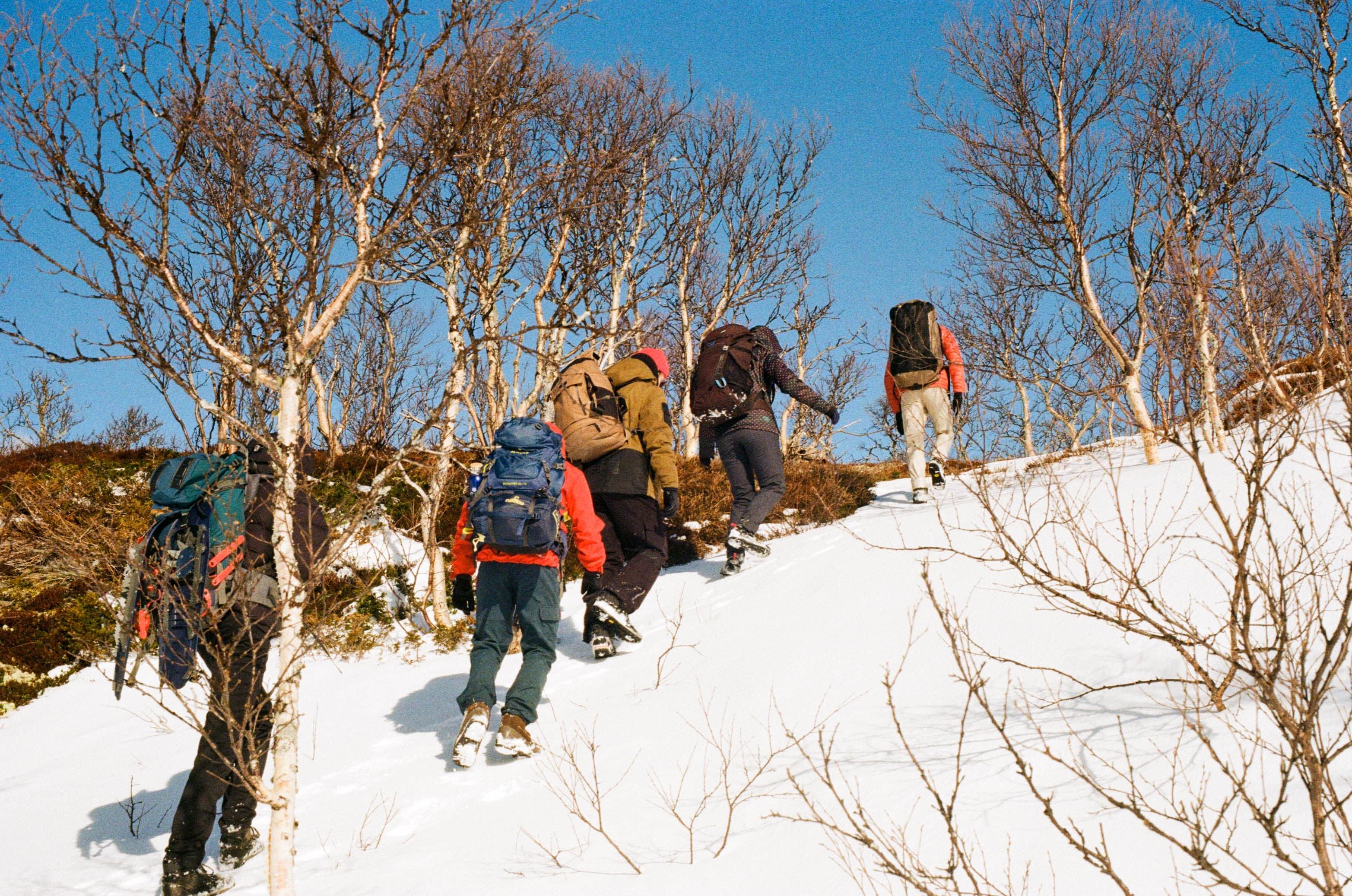 Norway - Image 5